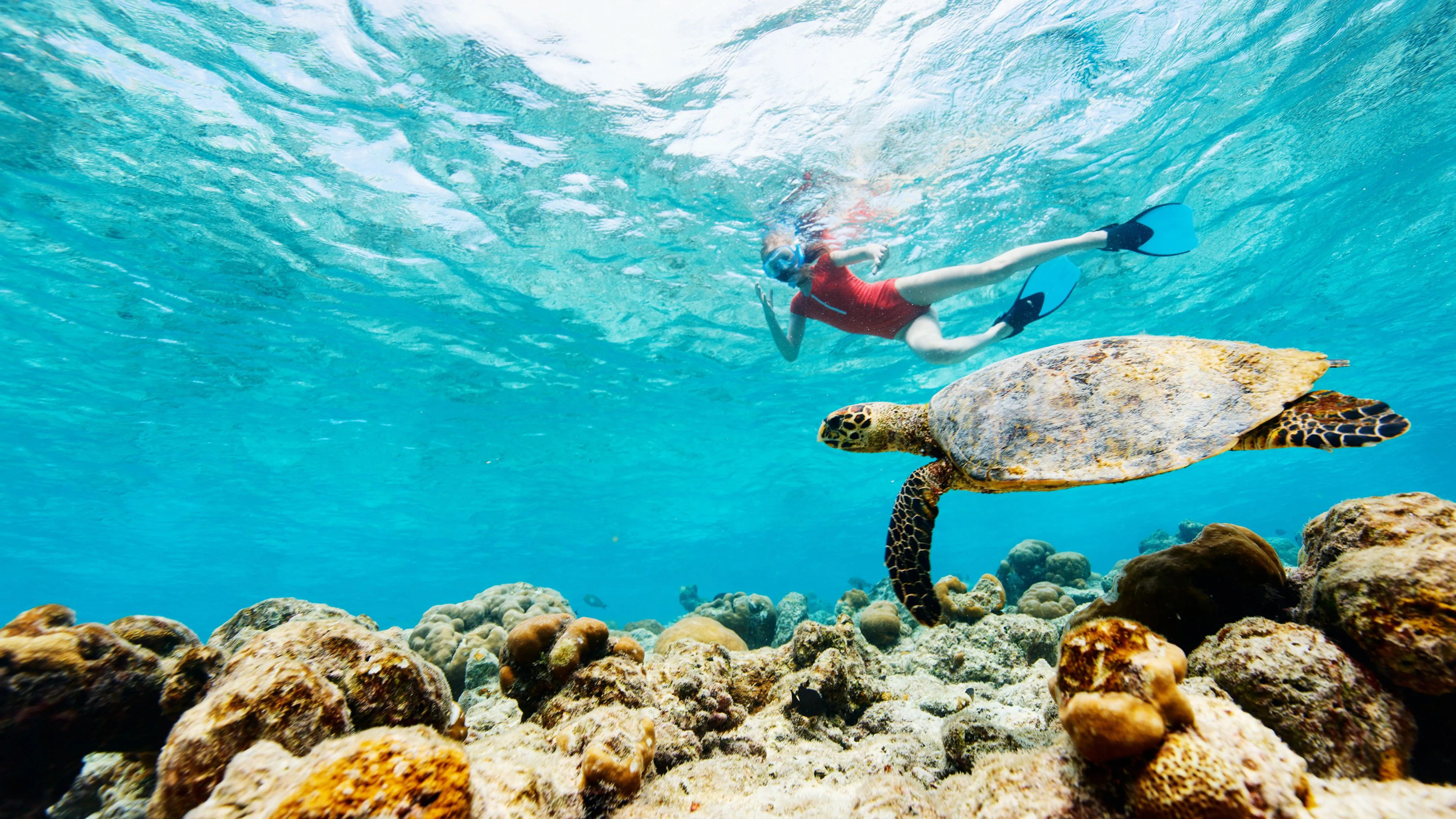 Viewpoints and wellness activities on Koh Tao