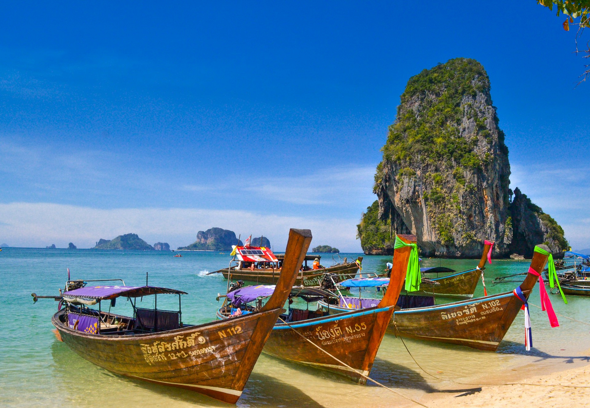 Koh Samui tropical beach and palm trees — KOHME